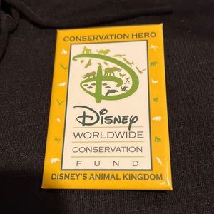 Collectible Disney pin